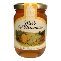 Miel de Citronnier