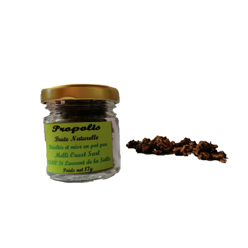 Propolis brute