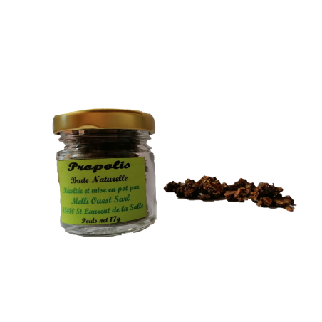 Propolis brute