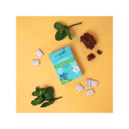 Chewing-gums propolis, menthe