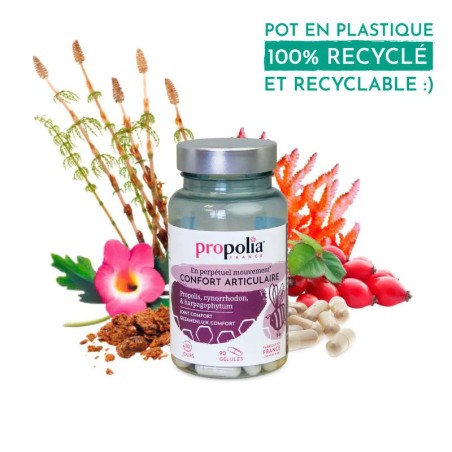 Gélules confort articulaire