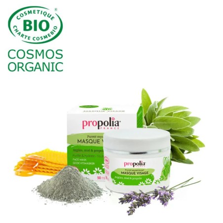 Masque visage BIO